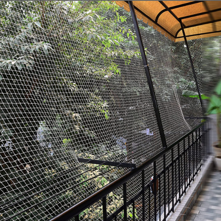 Bird Net